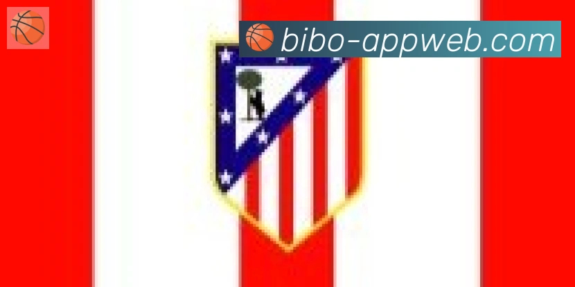 必博bibo官网体育合作伙伴